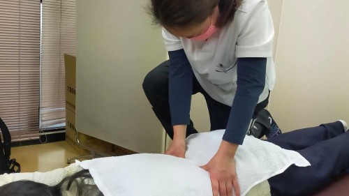 正社員 あん摩マッサージ指圧師 訪問マッサージ・訪問鍼灸求人イメージ